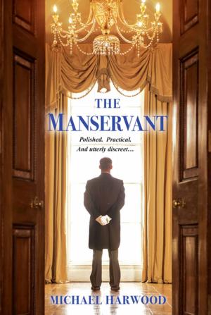Cover of the book The Manservant by Allyson K. Abbott