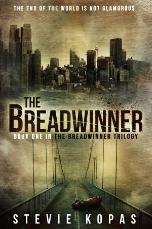 Cover of the book The Breadwinner by SP Durnin