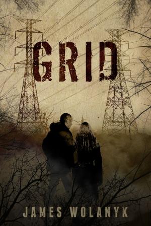 Cover of the book Grid by Michael Clary
