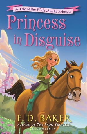 Cover of the book Princess in Disguise by Jonathan Sweet