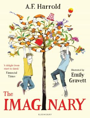 Cover of the book The Imaginary by Banu Senay