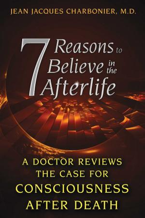 Cover of the book 7 Reasons to Believe in the Afterlife by Vincent Bossley