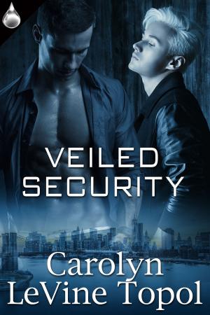 Cover of the book Veiled Security by Daisy Banks