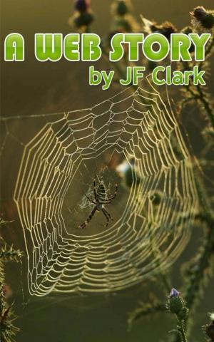 Cover of the book A Web Story by R. L. Garr