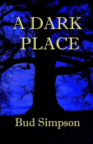 Cover of the book A Dark Place by Ellen Butler