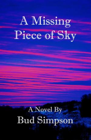 Cover of the book A Missing Piece of Sky by Frank Kane