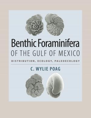 Cover of the book Benthic Foraminifera of the Gulf of Mexico by Thomas E. Alexander, Dan K. Utley