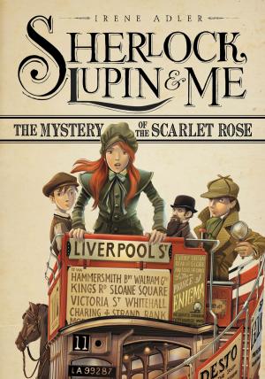 Book cover of The Mystery of the Scarlet Rose