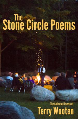 Cover of the book The Stone Circle Poems by Judson N Hout