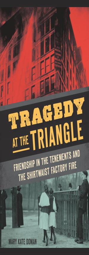 Cover of the book Tragedy at the Triangle by Bob Ostrander, Derrick Morris