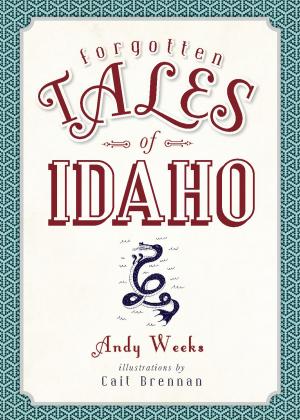 Cover of the book Forgotten Tales of Idaho by Rita Cook
