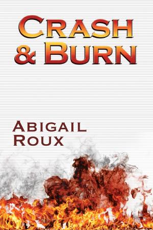 Cover of the book Crash & Burn by Heidi Belleau, Rachel Haimowitz