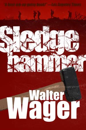 Cover of the book Sledgehammer by Elizabeth Thornton
