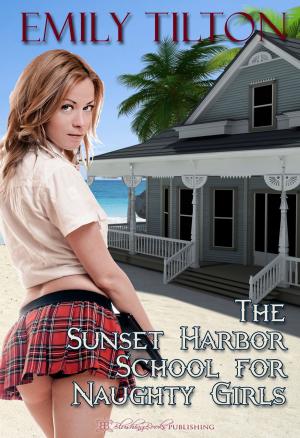 bigCover of the book The Sunset Harbor School for Naughty Girls by 