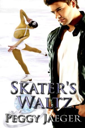 Cover of the book Skater's Waltz by Lauren  Reign