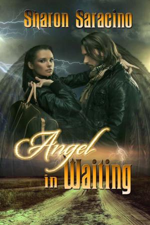 Cover of the book Angel in Waiting by Patrick O'Sullivan