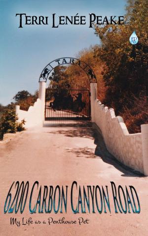 Cover of the book 6200 Carbon Canyon Road by Kris Franklin