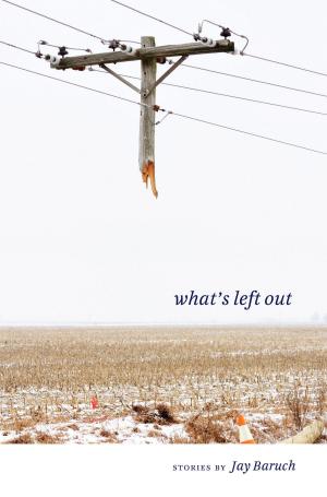 Cover of the book What's Left Out by Diana Pavlac Glyer