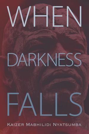 Cover of the book When Darkness Falls by R. Douglas Wardrop