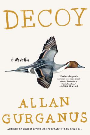 Cover of the book Decoy: A Novella by Davis Miller