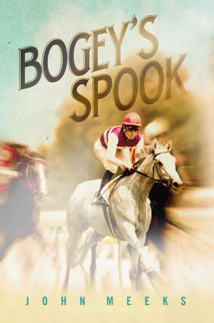 Cover of the book Bogey's Spook by Michael Bailot