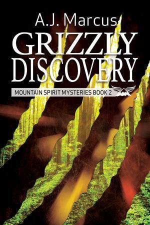 Cover of the book Grizzly Discovery by KC Burn