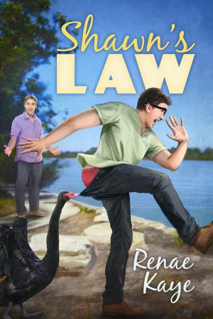Cover of the book Shawn's Law by Stacy L. Mantlo, C. Shivers