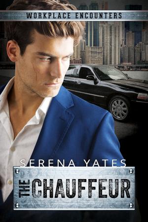 Cover of the book The Chauffeur by Mary Calmes