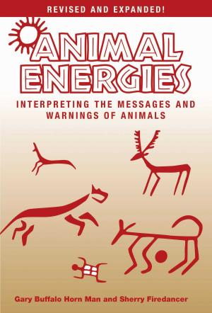 Cover of the book Animal Energies by Berndt Sundsten