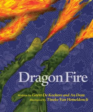 Cover of the book Dragon Fire by Nancy Krulik, Amanda Burwasser