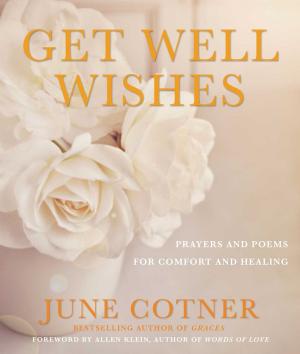 Cover of the book Get Well Wishes by John Duffy