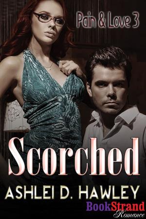 Book cover of Scorched
