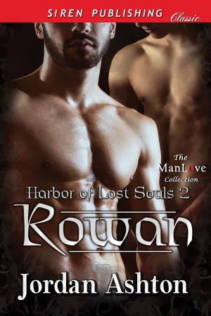 Cover of the book Rowan by Anitra Lynn McLeod