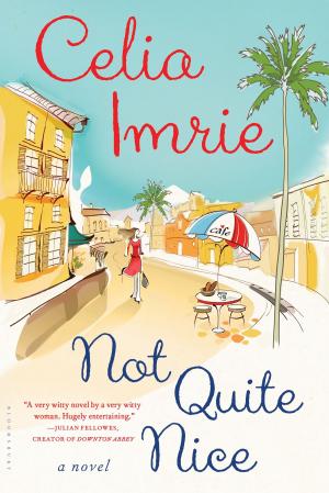 Cover of the book Not Quite Nice by Ann Bridge