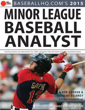 Book cover of 2015 Minor League Baseball Analyst