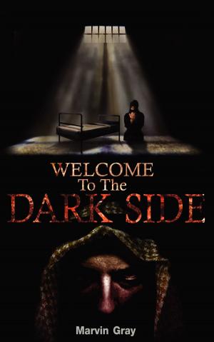 Cover of the book Welcome to the Dark Side by John Lorenz, Natthaphorn “Ploy” Duangkeaw