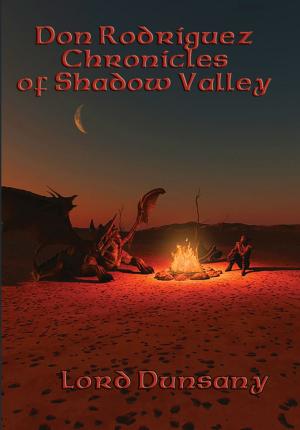 Cover of the book Don Rodriguez Chronicles of Shadow Valley by Edgar Rice Burroughs