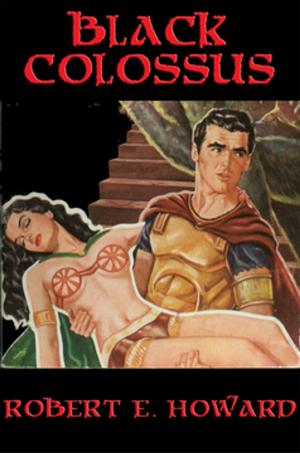 Cover of the book Black Colossus by Murray Leinster