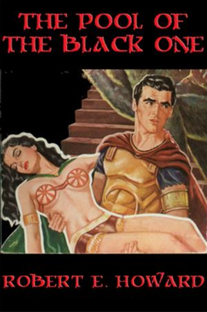 Cover of the book The Pool of the Black One by Murray Leinster