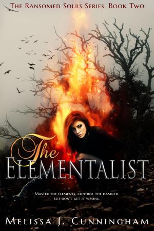 Cover of the book The Elementalist by Sandy Goldsworthy