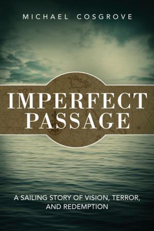 Cover of the book Imperfect Passage by Peter Fiduccia