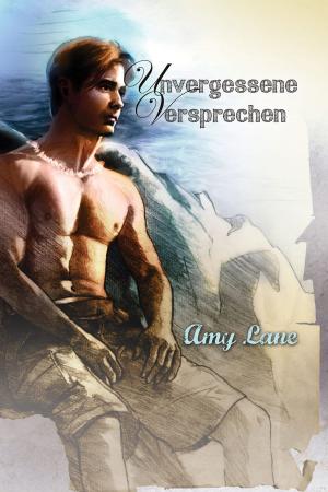 Cover of the book Unvergessene Versprechen by August Li