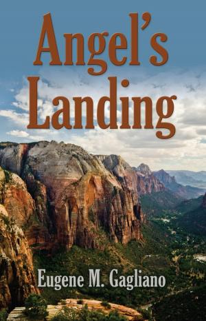 Cover of the book Angel's Landing by Katherine Warpeha, Lisa Noble