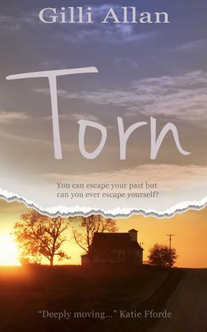 Cover of the book Torn by Lesley Cookman