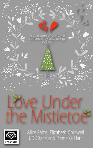 Cover of the book Love Under the Mistletoe by Justine Elyot