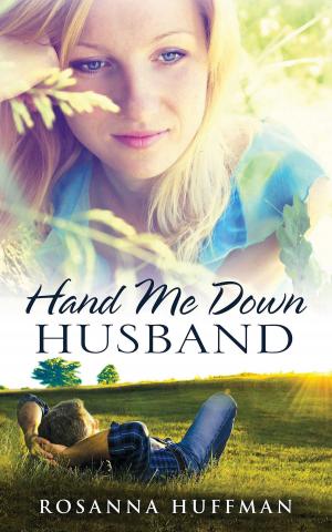 Cover of the book Hand Me Down Husband by Karen Barnett