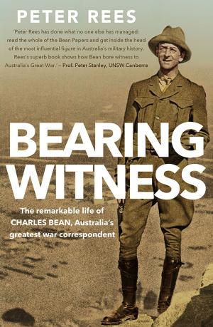 Book cover of Bearing Witness