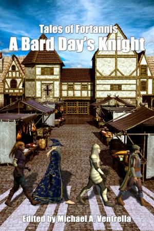 Cover of the book A Bard Day's Knight by CS Morgan