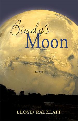 Cover of the book Bindy's Moon by Harriet Richards