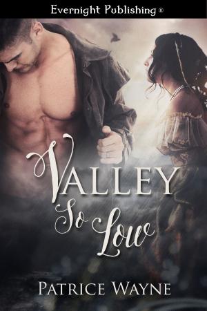 Cover of the book Valley So Low by Tamsin Baker